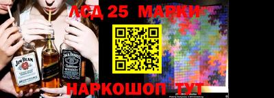 шишки Апшеронск