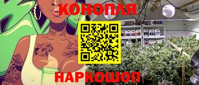 шишки Апшеронск