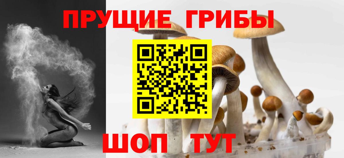 Псилоцибиновые грибы ЛСД Бузулук